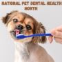 National Pet Dental Health Month – Huge Offers on Pet Dental