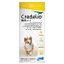 Credelio Chewable Tablets for Dogs – Shop Now at BestVetCare