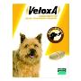Get Veloxa for Dogs at BestVetCare - Fast Relief, Great Pric