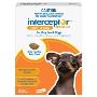 Interceptor for Dogs – Safe Heartworm & Worm Protection