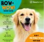 Iron Supplements For Dogs Health