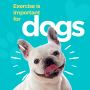 Transform Your Dog's Behavior: Expert Training at Paw Oasis 
