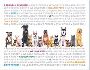 Custom Design Animal Clinic Reminder Postcards | Pawprintrem Custom Design Animal Clinic Reminder Postcards | Pawprintrem