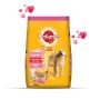 Pedigree Puppy Dry Dog Food Chicken & Milk