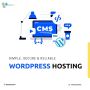 Looking For Best Wordpress Hosting With Cheap Prices?