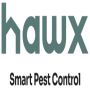 pest control San Antonio TX