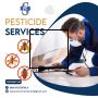 Best pest control services in Chennai Best pest control services in Chennai