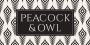 Peacock And Owl Peacock And Owl