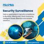 Security Surveillance