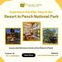 Stay at Our Resort in Pench National Park