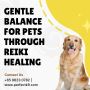 Gentle Balance for Pets Through Reiki Healing