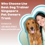 Why Choose the Best Dog Trainer Singapore Pet Owners Trust