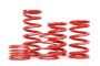Improve Ride Comfort and Style with H&R Springs