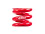 Eibach Springs: The Perfect Balance of Performance and Comfo