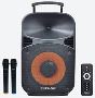 Best Trolley Speaker in India - Persang Karaoke