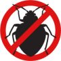 Bed Bug Extermination