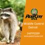 Wildlife Pest Control