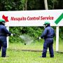 Mosquito Removal Services Detroit - Pest City USA