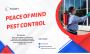 Pest Control Port Melbourne - Peace of Mind Pest Control