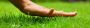  Lawn Liquid Fertilizer Utah
