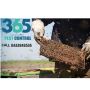 Bees Control Near Me-Safe and Effective Bee Removal Services