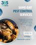 Same-Day Pest Control in Tarneit – Reliable & Local Service 