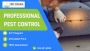 Pest Control Sandringham Safe & Effective | call Now