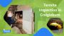 Wipe Out Termites – Craigieburn’s Pest Control Pros Wipe Out Termites – Craigieburn’s Pest Control Pros