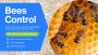 Say Goodbye to Bee Hives with Pest Control Bayswater