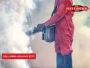 Comprehensive Pest Control Florey: Keeping Pests at Bay