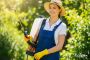 Pest Control Service in Fort Worth Dallas, TX Pest Control Service in Fort Worth Dallas, TX
