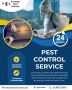 Best Pest Control Service – PCS India