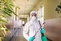 Anti Termite Treatment in Gurgaon