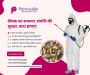 Effective Termite Control in Greater Noida 