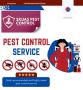 Pest Control Services in Greater kailash - Delhi 