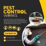 Pest Control Services in Fraser Rise - Termites, Bees & Rats