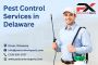 Top-Rated Pest Control in Dover, DE – 20% OFF for First-Time