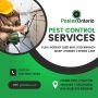 Pest Control in Niagara Region Pest Control in Niagara Region