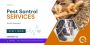 xpert Pest Control Termite Treatment – Protect Your Home 