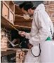 Leading Commercial commercial pest control in Essex 