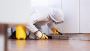 Singapore Termite Control