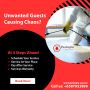 Book for Singapore Cockroach Control Service