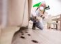 Choose Pest Control Service Singapore