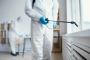 Singapore Termite Treatment Singapore Termite Treatment