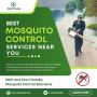 Best Mosquito Pest Control Services Near You