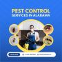 Pest Control Services in Alabama