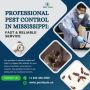 Professional Pest Control in Mississippi Professional Pest Control in Mississippi