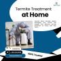 Protect Your Home with Expert Termite Treatment