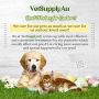Wishing you all a Happy Easter!! Bring More Awareness toward
