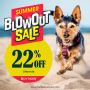 Summer Blowout Sale: 22% OFF on Everything! 